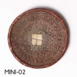 Binga-Earth-Mini-02-100321-1